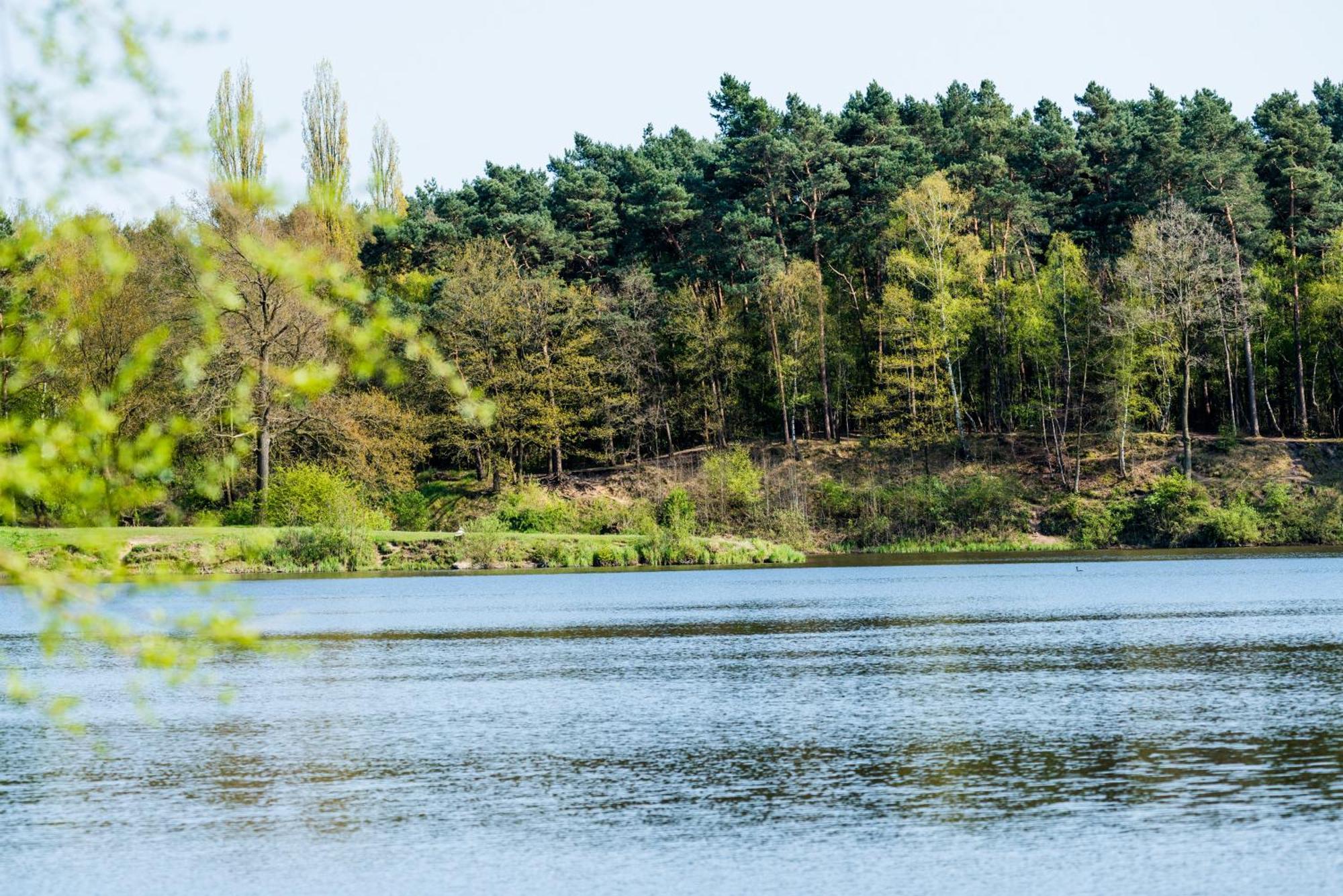 Waldhotel Schipp-Hummert Емсдеттен Екстер'єр фото