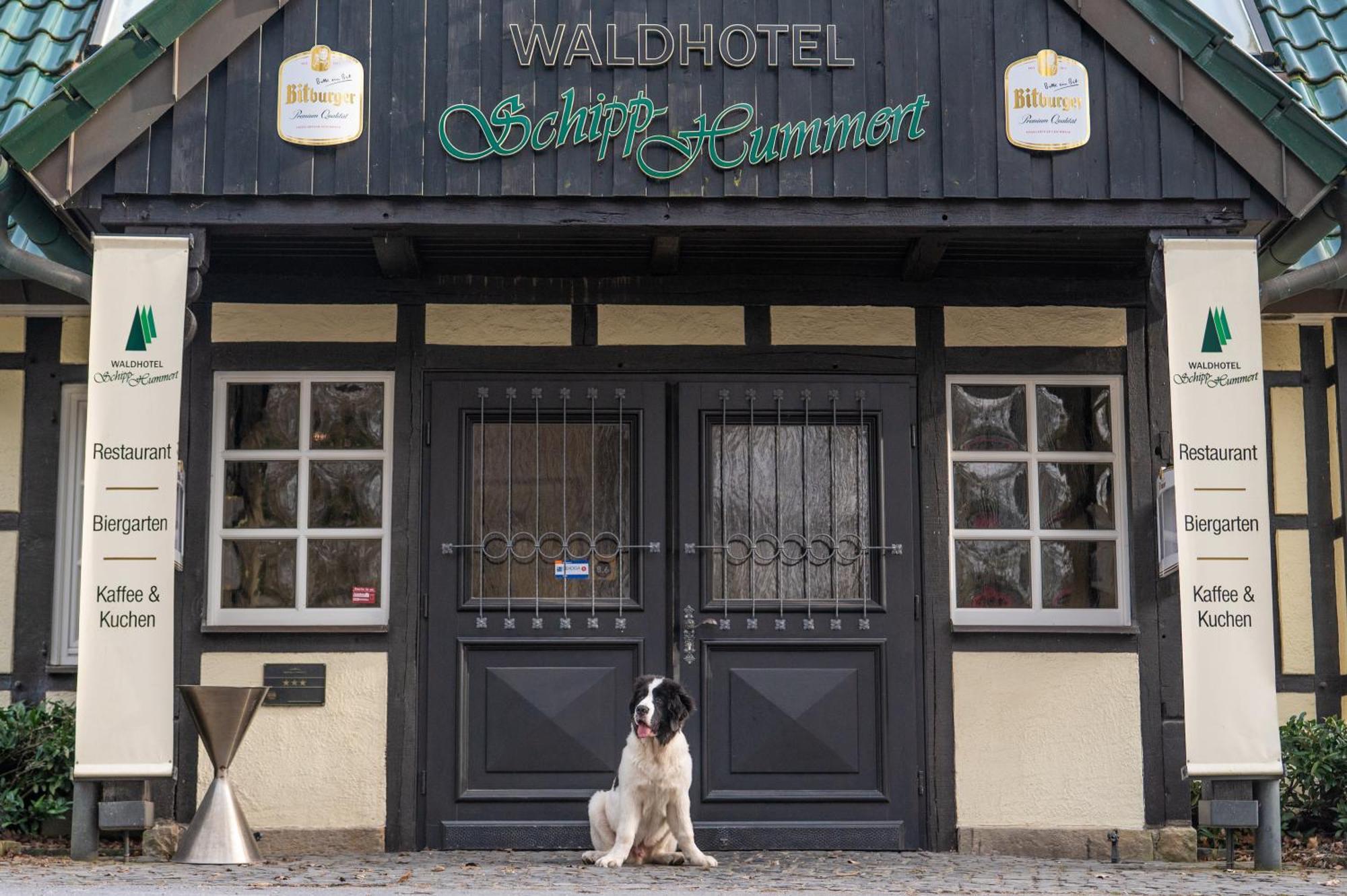 Waldhotel Schipp-Hummert Емсдеттен Екстер'єр фото